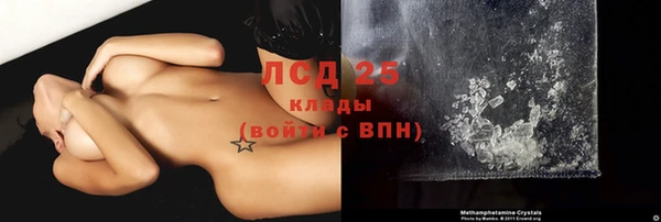 стаф Новодвинск