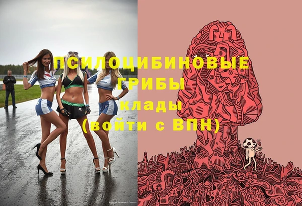 СК Нефтекумск