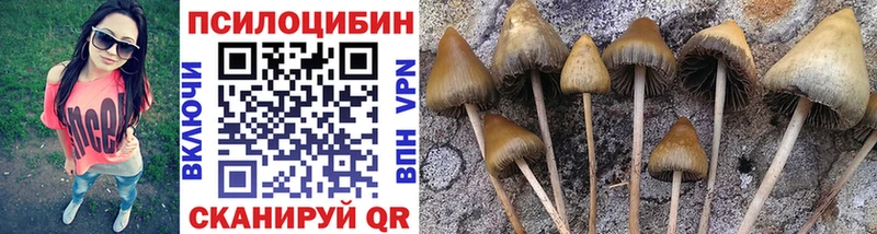 Псилоцибиновые грибы GOLDEN TEACHER Яровое