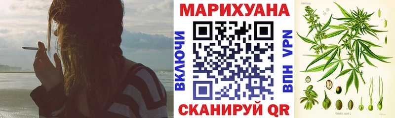 Конопля SATIVA & INDICA  Яровое 